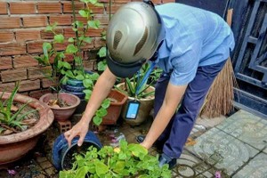 HCMC sees rise in dengue cases, raising concerns of early outbreak