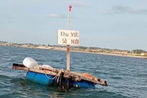 Illegal aquaculture disrupts marine areas