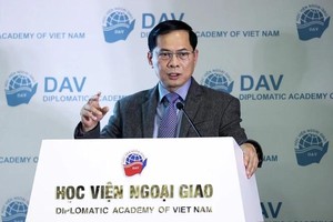 Foreign affairs must drive strategic breakthroughs: Politics academy director 