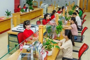 Absence of legal framework hinders green finance for businesses