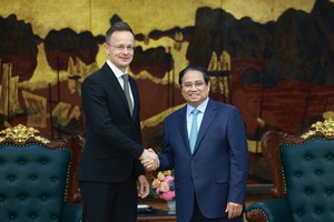 Vietnam treasures comprehensive partnership with Hungary: PM