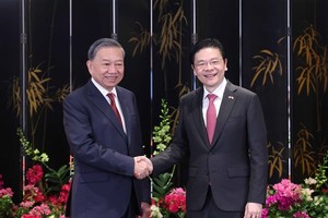 Vietnam, Singapore aim to realise Comprehensive Strategic Partnership