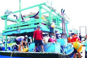 Approach to IUU fishing eradication involves control measures at fishing ports
