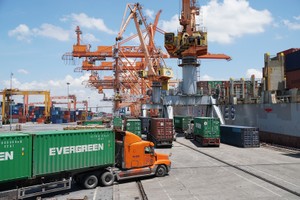 Vietnam working towards growth of powerful business sector