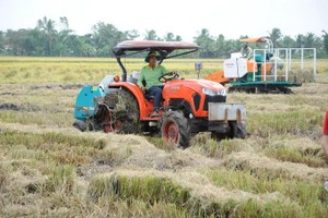 One high-quality rice million hectares must be linked with green growth 