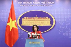 Vietnam willing to engage with US regarding solar panel tariff: Spokeswoman