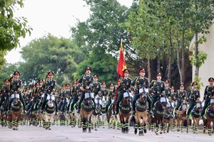 Elite cavalry readying themselves for major events