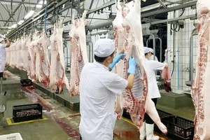 HCMC studying the development of pork trading floor