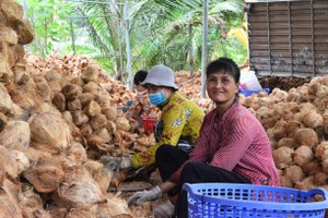 Ben Tre enhances coconut value, fueling local economic growth