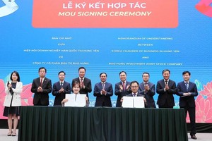 Vietnam looks for stronger cooperation with RoK in new era: Official