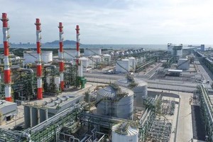 Specialized industrial parks developed in Southeast region