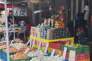 Poultry farmers’ concerns rise amid fake egg hoaxes