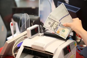 Foreign exchange agents forbidden from illegal transactions
