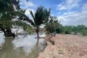 HCMC Chairman orders immediate action on landslide risks