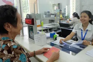 HCMC Party Committee orders stepped-up efforts to boost PAPI scores