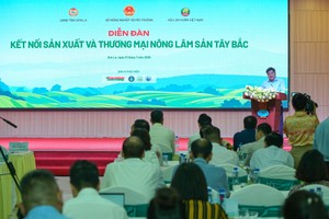 Northwest region abundant in fruits, yet struggling with exports