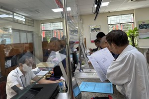 People's committees in wards, communes begin issuing pink books