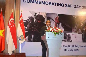 Vietnam, Singapore defence cooperation develops substantively, effectively