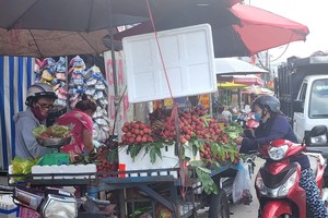 Fruit prices significantly decrease at traditional markets in HCMC
