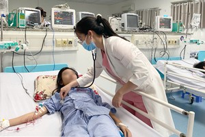 Urgent measures underway as dengue fever cases rapidly increase in HCMC