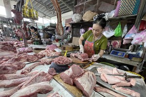 Ho Chi Minh City bolsters market controls to combat African swine fever