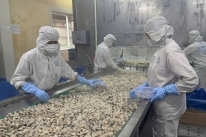 Ministry seeks ways to expand markets amidst US’s 20 percent reciprocal tariff