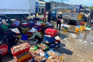 Vietnam’s seafood exports surge nearly 20 percent in first seven months of 2025