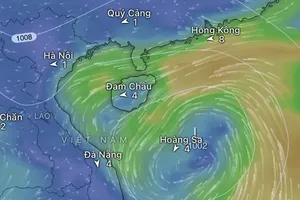 Urgent preparedness measures issued as tropical depression approaches