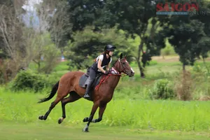 Lam Dong hosts thrilling equestrian obstacle course competition