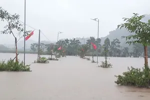 Tropical storm Kajiki leaves 1 dead, 8 injured after making landfall in Vietnam
