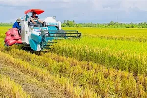 Mekong Delta project delivers massive boost to rice yields and profits