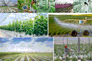 Potential remains for agricultural technology in Vietnam still vast