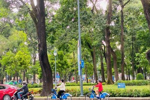 HCMC seeks solutions to return to bicycle-friendly era