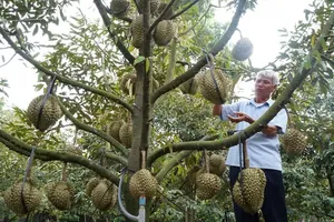 Agro-Forestry-Fishery exports surge to US$52.3 billion in first 9 months