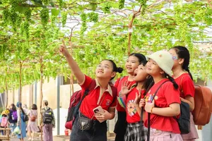 HCMC promotes green tourism through agricultural experiences