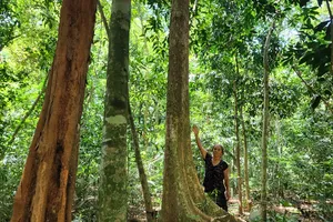 Family in Ha Tinh preserves ancient forest for four generations