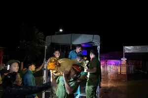 Da Nang evacuates 8 households from landslide risk zone overnight