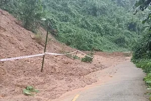 Da Nang braces for heavy rain, flood risk, heavy rains as cold front strengthens