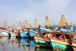 Ho Chi Minh City strengthens measures against illegal fishing activities