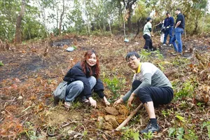 Ethnic minority man realizes dream of reforesting mountains to prevent flooding