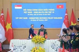 Vietnam, Singapore expand cooperation in cybersecurity and search-and-rescue