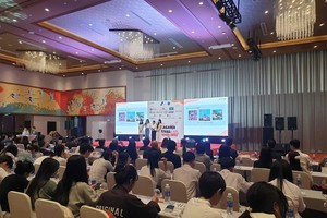 Da Nang hosts fourth consecutive Kanagawa festival