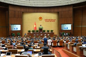 Legislators mull over investment policy for Gia Binh International Airport