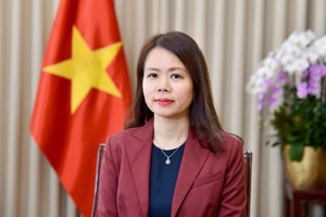 Vietnam works to shape new future, vision with Middle East-Africa region