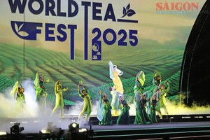 Tea carnival brings vibrant finale to international tea festival
