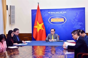 Vietnamese, French foreign ministers hold phone talks