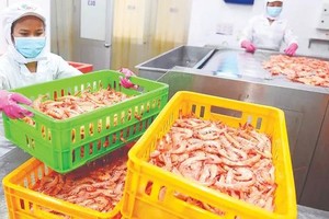 Vietnam’s seafood exports gain momentum in Singapore
