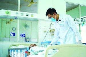 Youth of HCMC choose to devote themselves through dedication and service