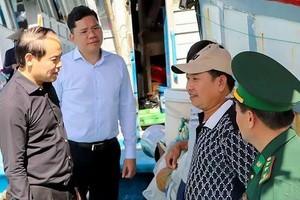 HCMC strengthens fight against IUU fishing ahead of EC inspection