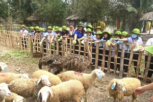 HCMC schools strive to balance student safety with extracurricular learning